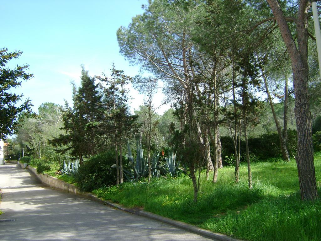Appartamento Maraviglios Alghero Extérieur photo